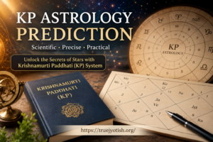 best astrologer in pune